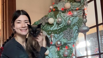 "We've ditched our Christmas tree for a standing sculpture - we'll never go back"