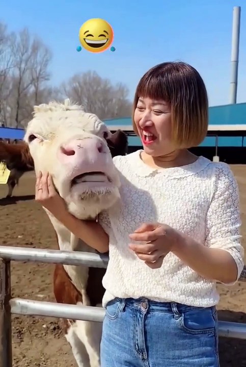 West cute animals 2024 #shorts #cuteanimals #cu...