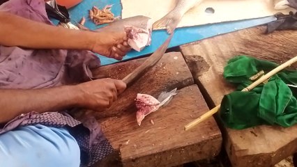 How to Cutting blank pamphlet fish at india market