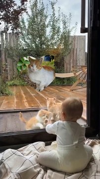 e4a2a2d1-93e9-4703-a9de-6acf2e7c5769-1_all_959