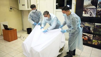 Rússia exibe pequeno mamute quase intacto de mais de 50.000 anos