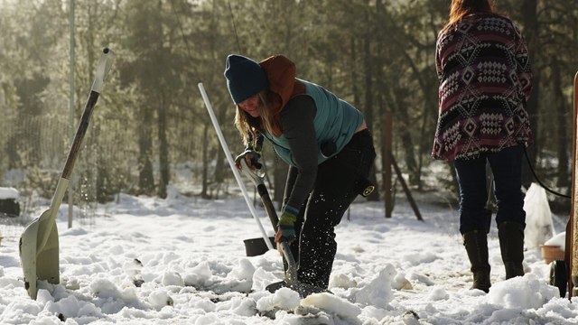 Habitations en péril
