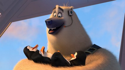 Les pingouins de Madagascar