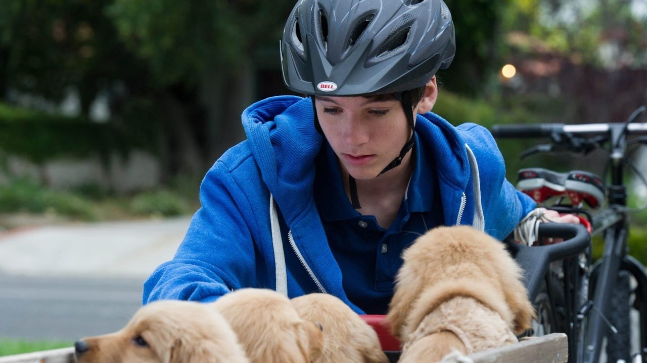 Six chiens sinon rien