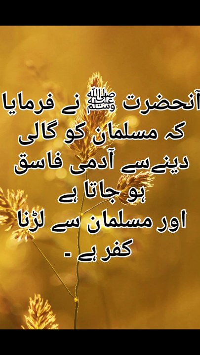 20240520_201552663.mp4_play_US