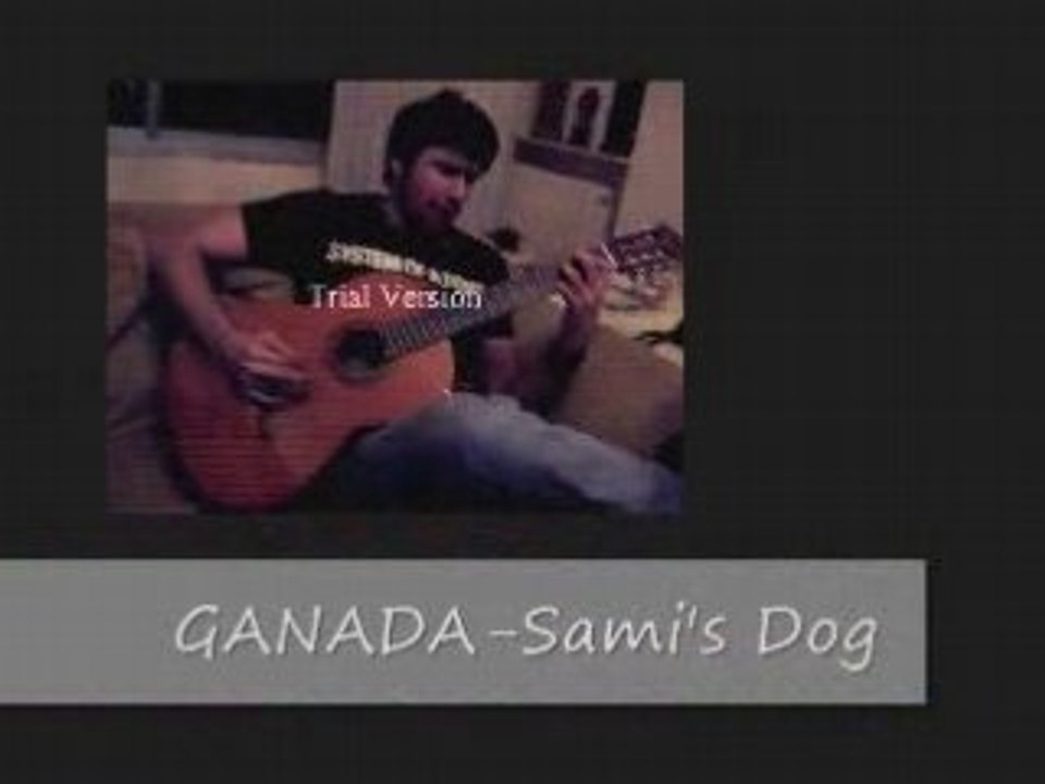 Sami's Dog