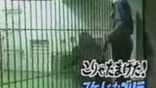 Sliding kong
