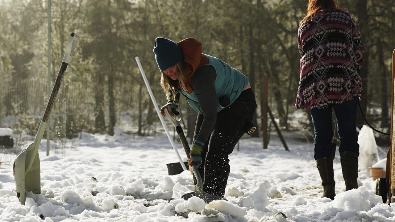 Habitations en péril