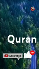 #surea'RAF #best urdu translation #viraralshorts #trendingviralshorts #youtubeshorts #viqarishaq