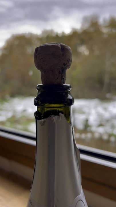 Poulet au champagne