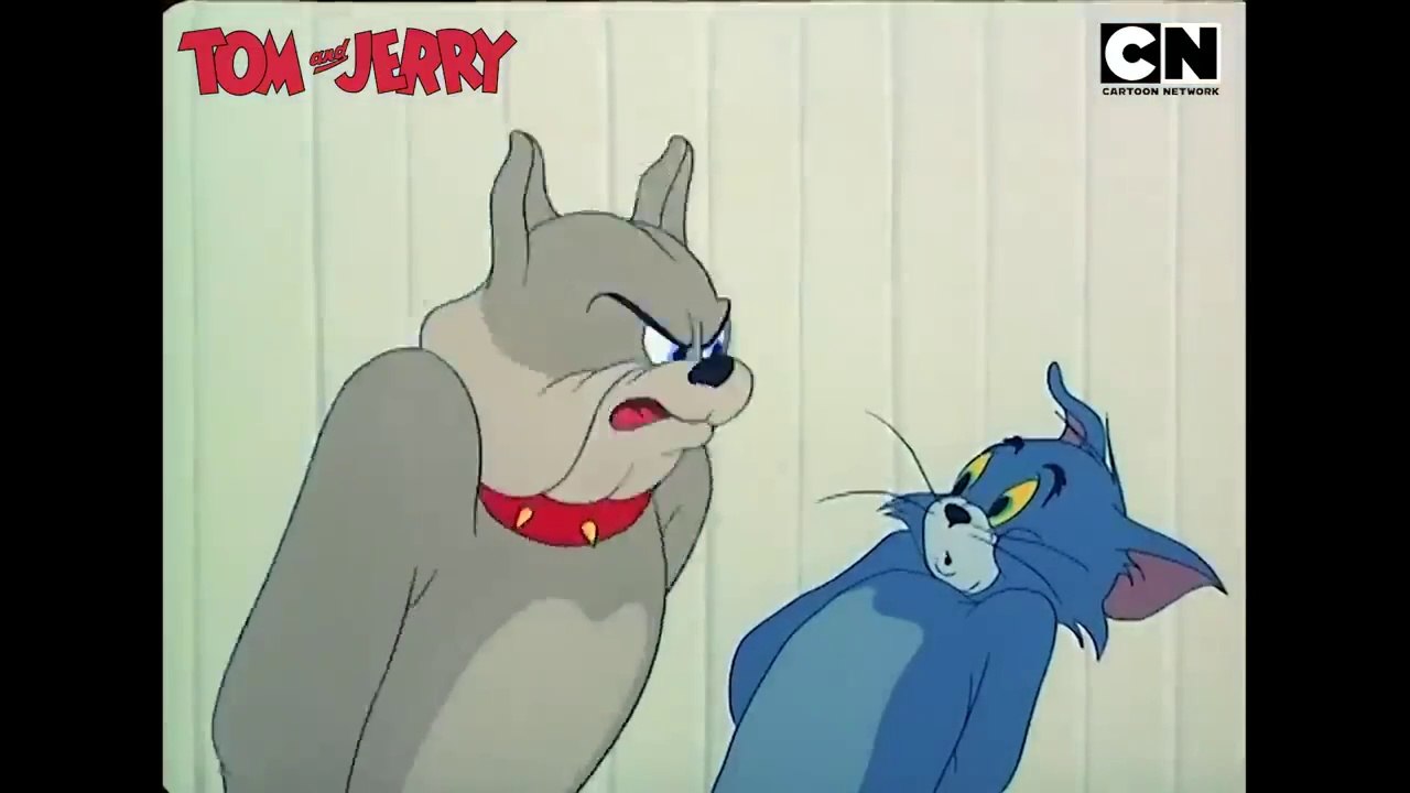New 2025 tom and Jerry Happy new year wishes 2025 toTom & Jerry’s 😺🐭 Yacht Mayhem - Funny Cartoons - compilation - #tomandjerry - #cartoon