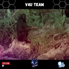 Tamil Hot Movies Part 4