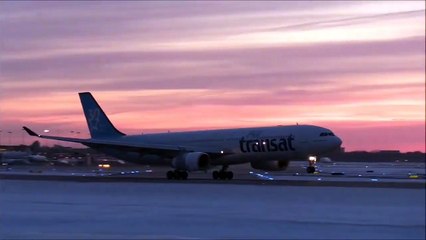 Serene Escapes: Waterfalls, Bird