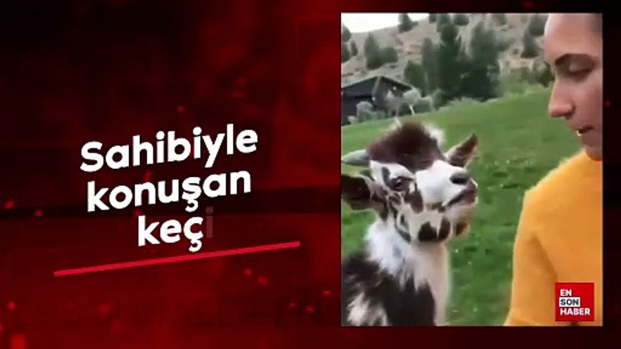 Sahibiyle konuşan keçi