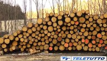 Video News - Consorzi forestali, Bonomelli riconfermato presidente