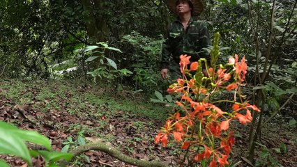 EP.355 - Cuidados com animais, captura, exploração da vida no rio, sobrevivência no rio