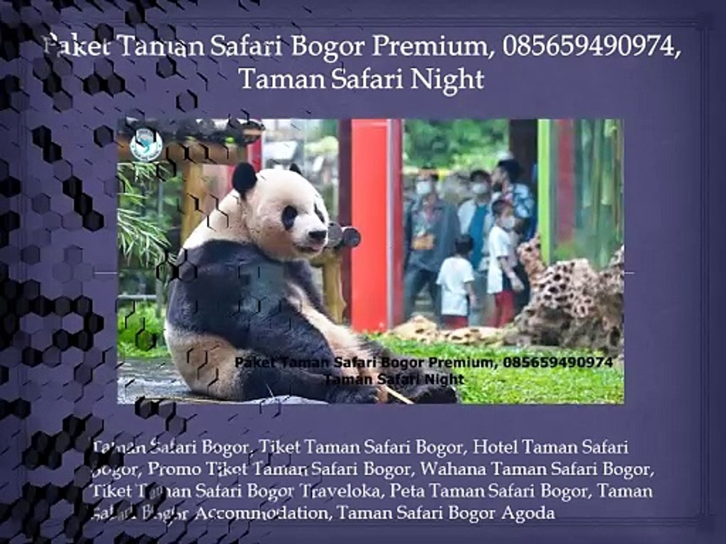 ⁣Paket Taman Safari Bogor Premium, 085659490974, Taman Safari Night