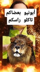 2024-12-24-020223723