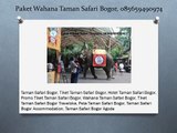 Paket Wahana Taman Safari Bogor, 085659490974