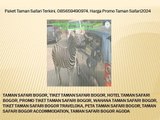 Paket Taman Safari Terkini, 085659490974, Harga Promo Taman Safari2024