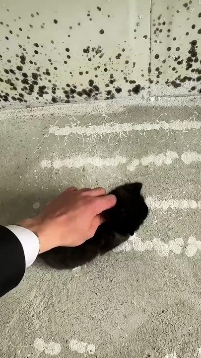 oke, now put me down