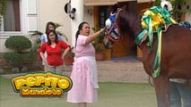 Pepito Manaloto: Ang mga alagang kabayo ni Pepito at Chito (YouLOL)