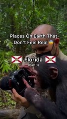 beautiful placesssss in florida