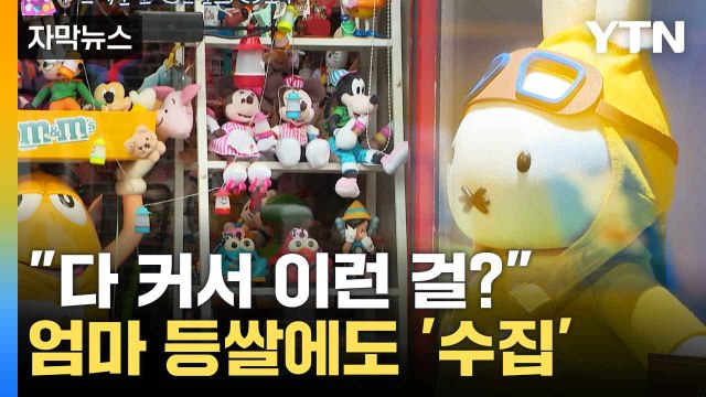 [자막뉴스] 긁히는 사회 의 돌파구...엄마 등쌀에도 '수집' / YTN