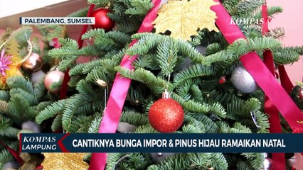 Cantiknya Bunga Impor & Pinus Hijau Ramaikan Natal di Palembang