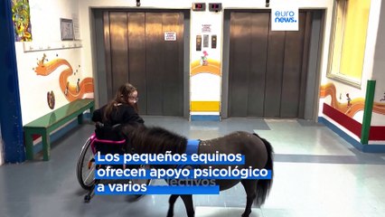 Ponis terapéuticos: Un regalo navideño para los atenienses más vulnerables