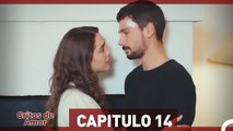 Gritos de Amor Capítulo 14 (Doblado en Español)