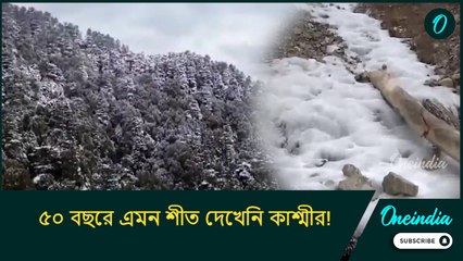 জমে গেল ডাল লেক, ৫০ বছরে এমন শীত দেখেনি কাশ্মীর! কেমন অবস্থা হিমাচলে?