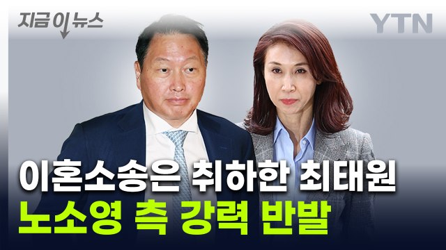 재산 분할 전 이혼부터 대법에 요청한 최태원...노소영측 가정파괴 시도 [지금이뉴스] / YTN