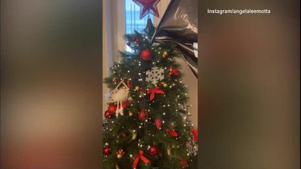 Motta juventino vero: guarda il suo albero di natale bianconero