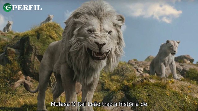 Descubra os segredos dos leões brancos de Mufasa, a nova voz do Superman e o live-action de Como Treinar o Seu Dragão!