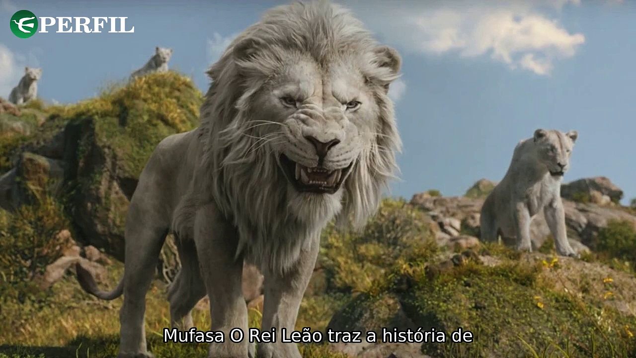 "Descubra os segredos dos leões brancos de Mufa...