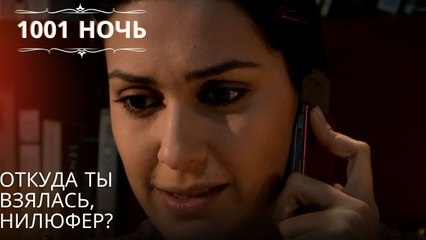 Откуда ты взялась, Нилюфер?| 1001 ночь - Эпизод 56
