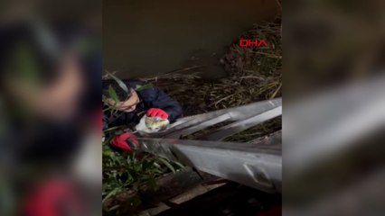 Yaramaz kedi, 3'üncü kez çaya düştü