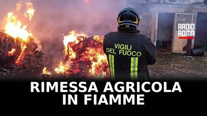 Rimessa agricola in fiamme in periferia a Frosinone