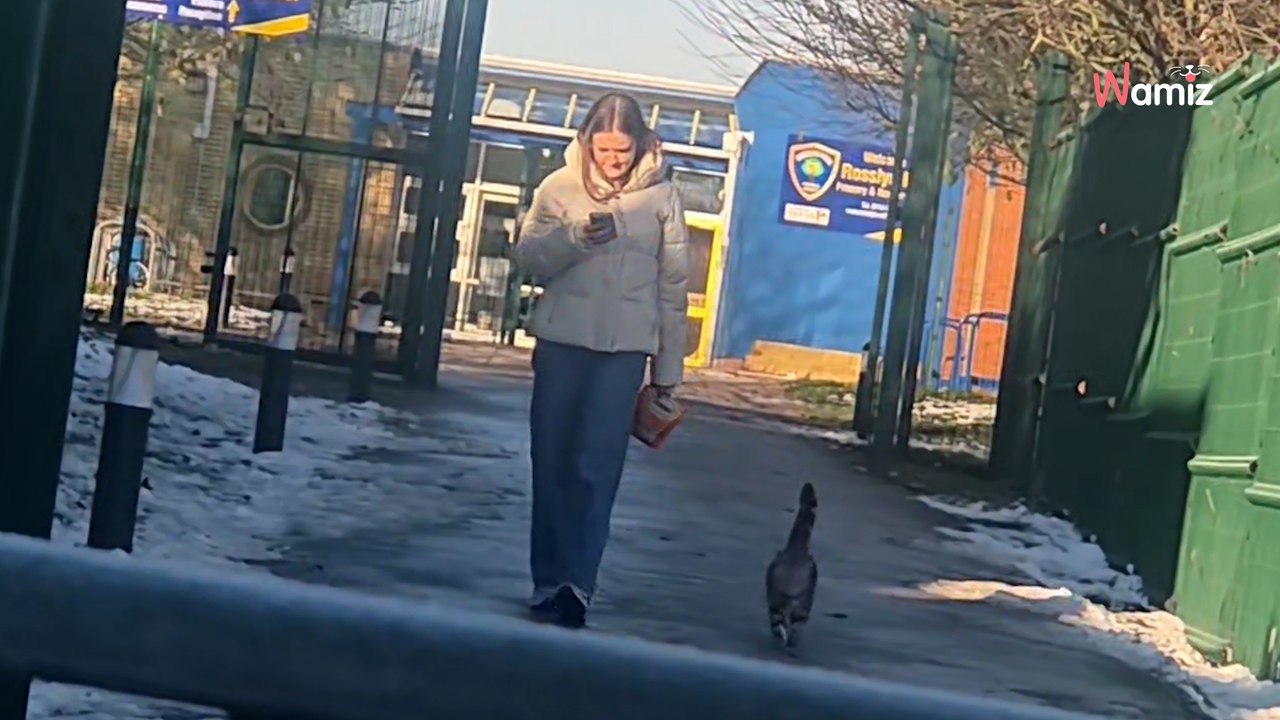 She waits at school gate; everyone in stitches when they see who runs towards her