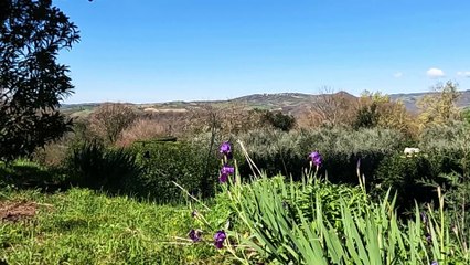 Italie : Toscane (Maremme /villages)