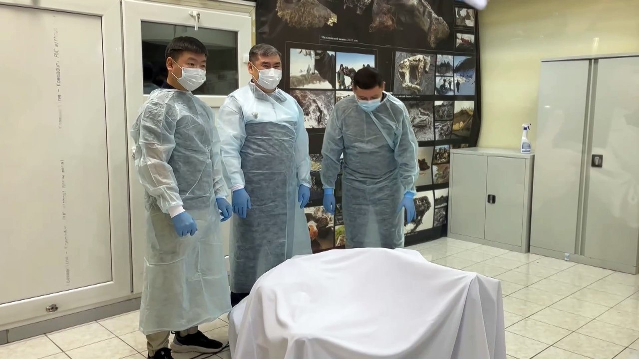 Hallan el fósil de un mamut bebé en buen estado de conservación