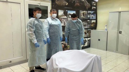 Hallan el fósil de un mamut bebé en buen estado de conservación