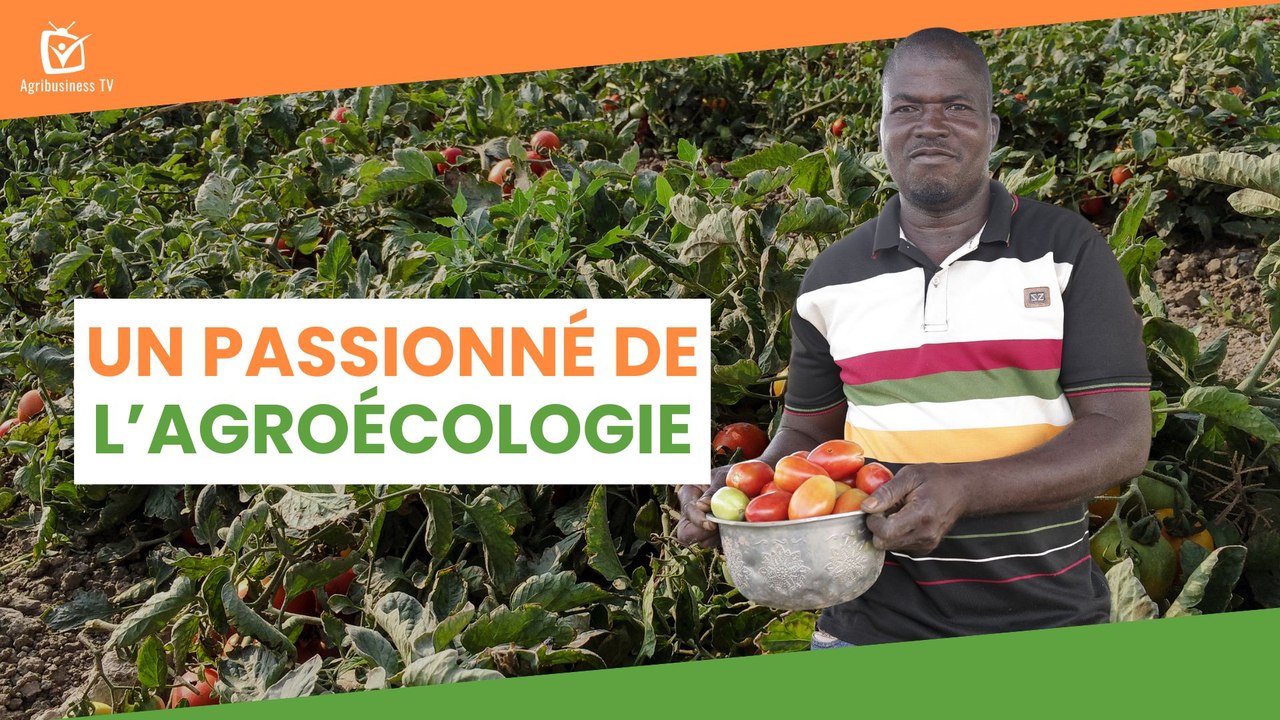 Burkina Faso : Un passionné de l’agroécologie