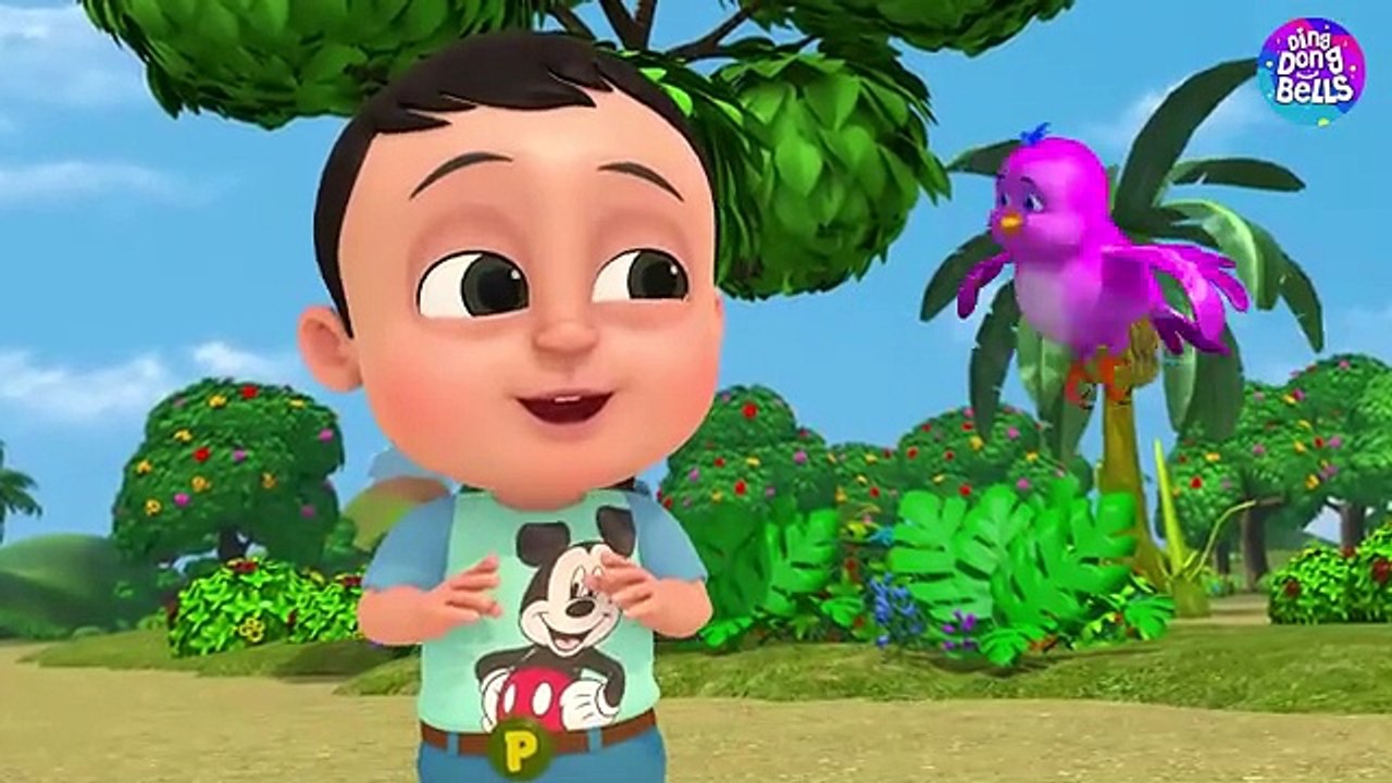 Little kitten میوں میوں amazing video nazm