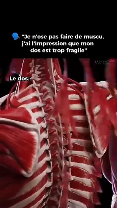 Can you name all of the muscles? see u on Yt Laura Orvélie