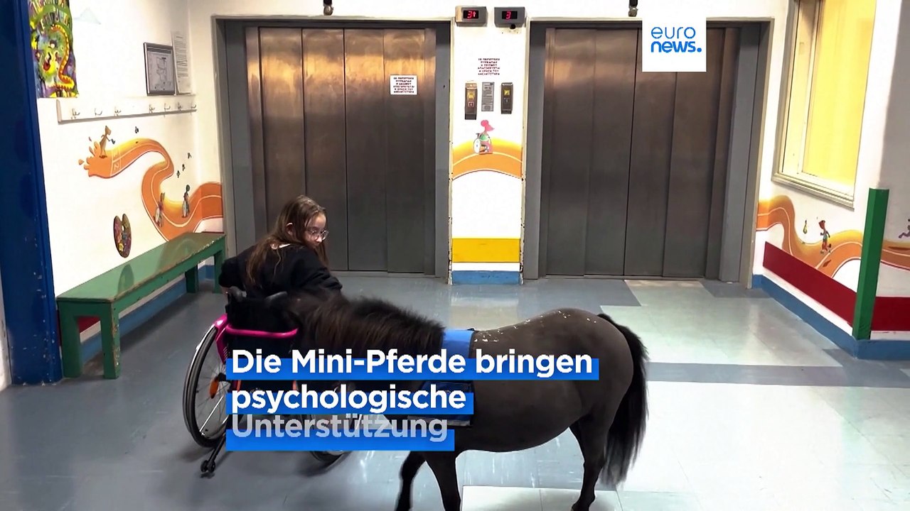 Quelle der Freude: Therapie mit Miniaturpferden in Athen