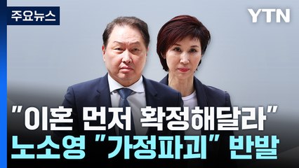 최태원 "이혼 먼저 확정해달라"...노소영 '반발' / YTN