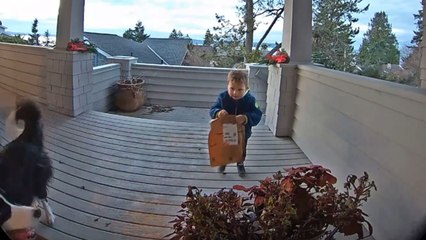 Little boy climbs stairs to deliver package to neighbor with adorable excitement
