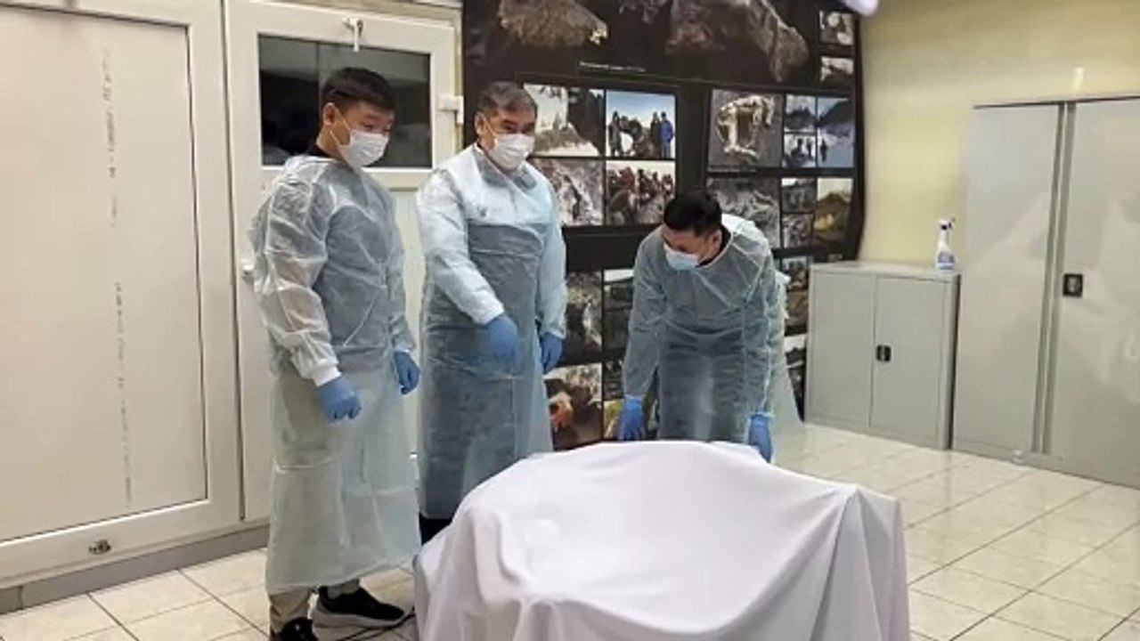 Universidad rusa presenta el hallazgo de una cría de mamut en buen estado de conservación